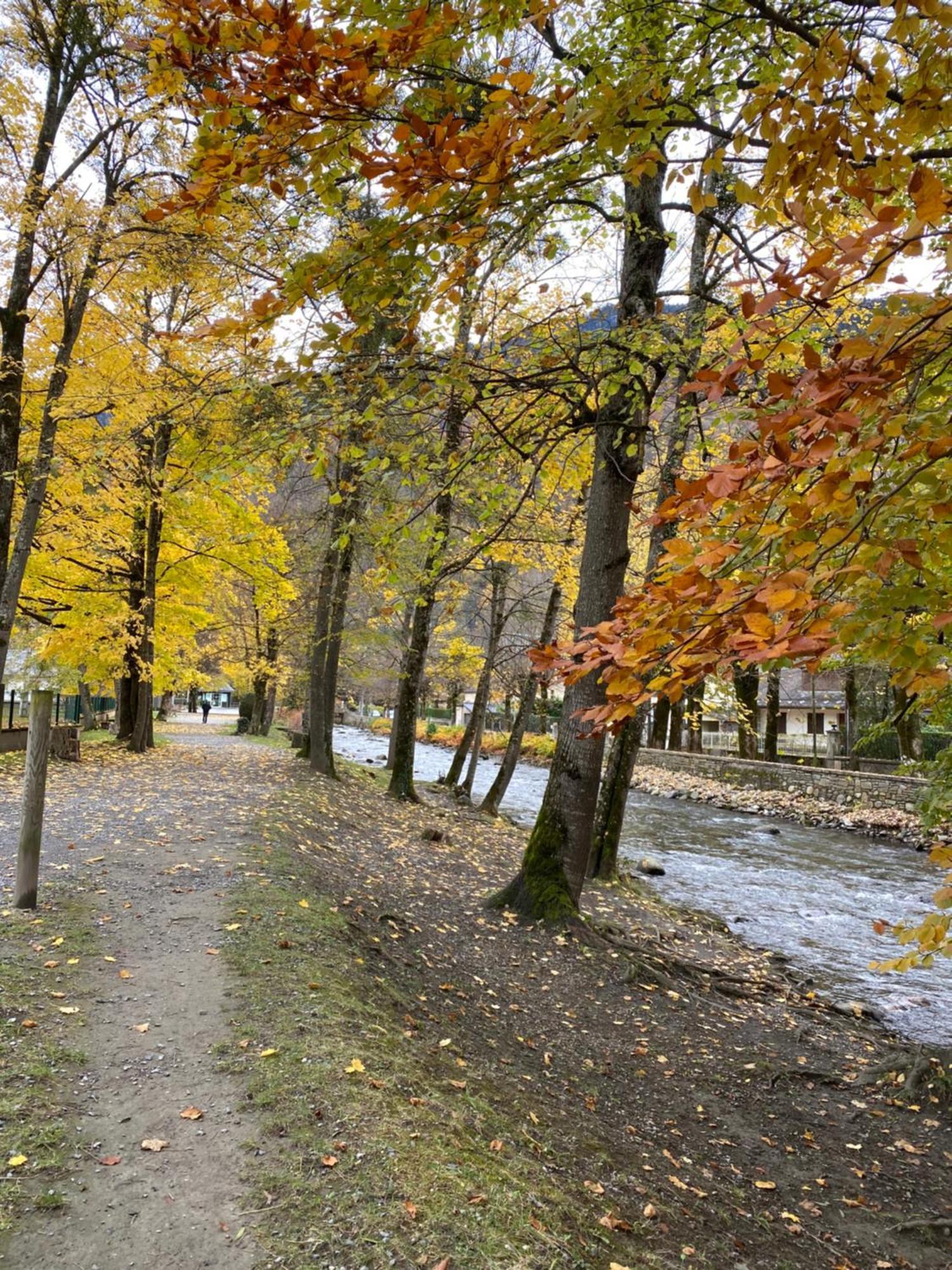 Newly Renovated Ground Floor Apartment Close To Thermes Bagnères-de-Luchon エクステリア 写真